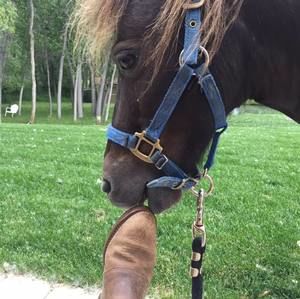 Meet your Posher, Cheryl